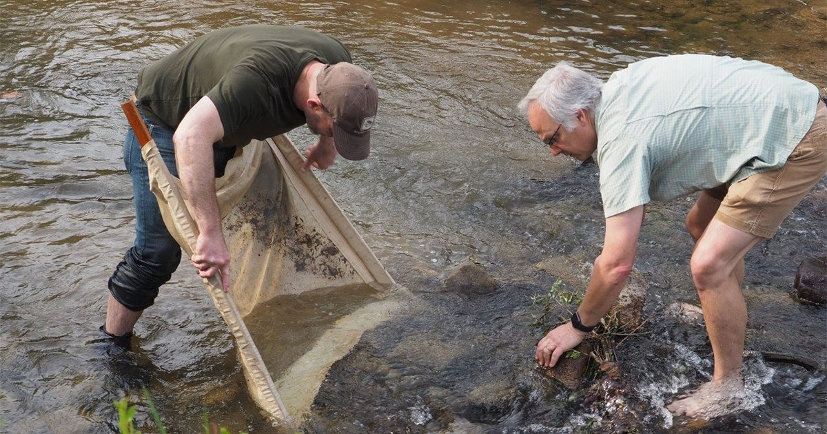 Invasive species, pandemic prevention research presented to Board of Visitors committee