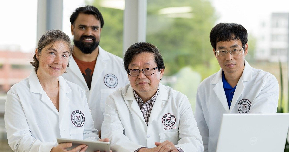 X.J. Meng receives prestigious MERIT Award to study hepatitis E virus