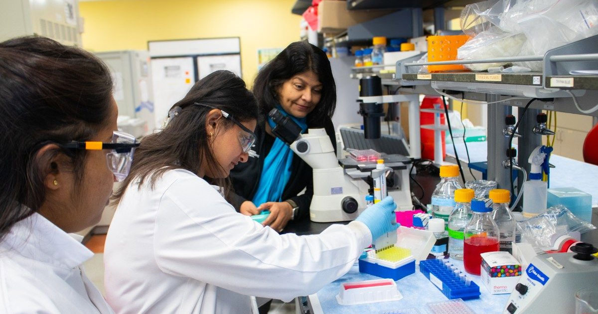 Virginia Tech researcher receives collaborative grant to improve cancer therapies