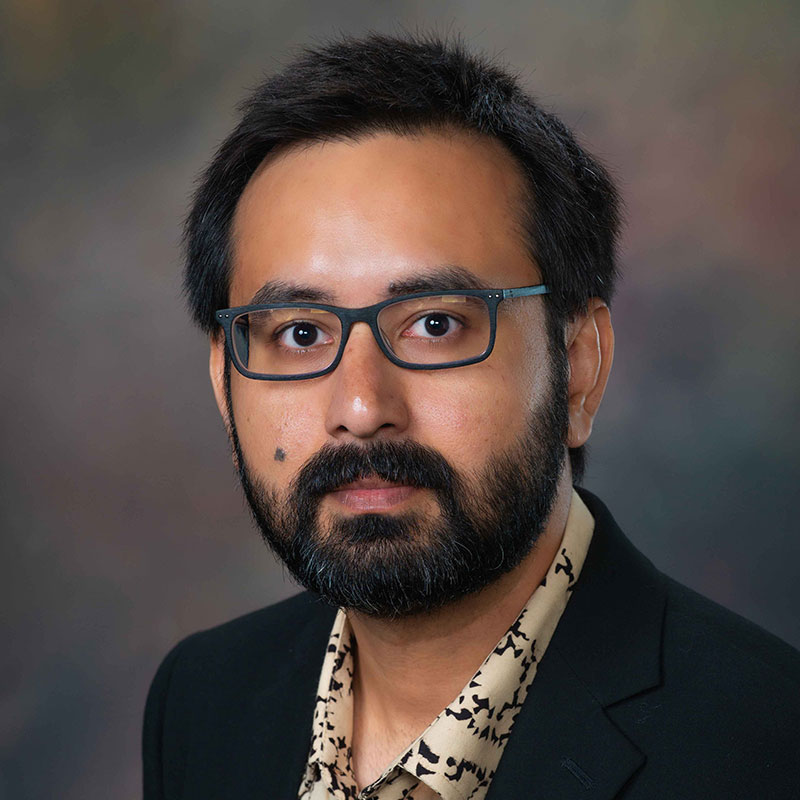 Debswapna Bhattacharya